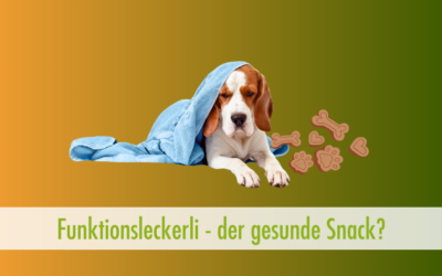 Gesunde Snacks für kranke Hunde?