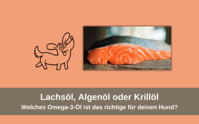Omega-3 beim Hund: Lachsöl, Algenöl oder Krillöl?