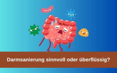 Darmsanierung beim Hund: sinnvoll oder überflüssig?