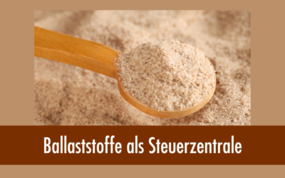 Ballaststoffe als Steuerzentrale