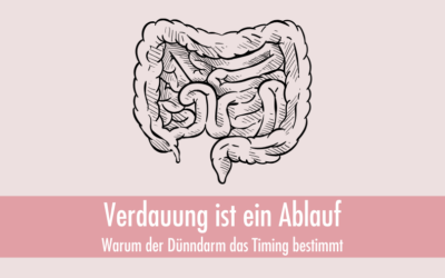 Verdauung ist kein Zustand sondern ein Ablauf