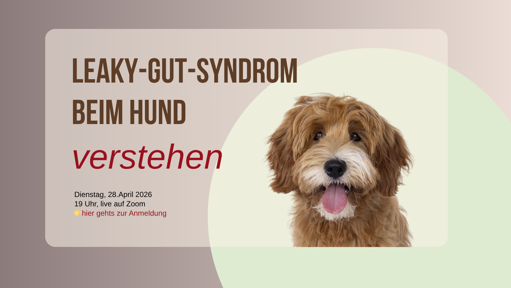 Workshop Leaky-Gut-HP