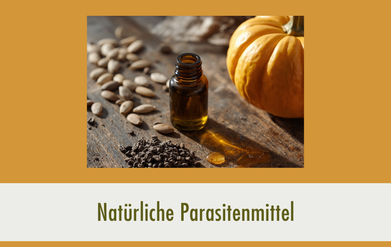 Natürliche Mittel gegen Parasiten beim Hund