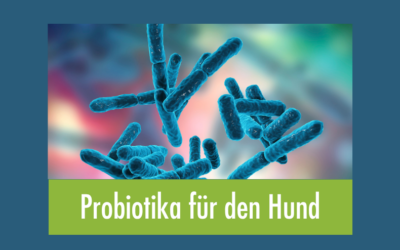 Probiotika für den Hund