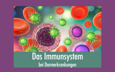 Das Immunsystem beim Hund: was bei Darmerkrankungen wirklich passiert